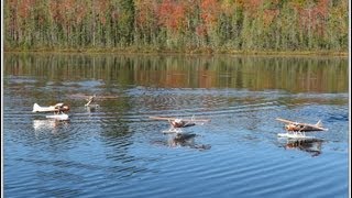 Four Flyzone DHC2 Beavers at Lily Pond [upl. by Crowell]