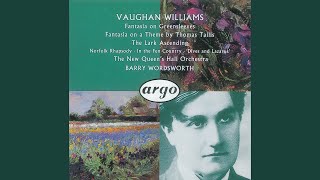 Vaughan Williams The Lark Ascending [upl. by Jarin764]