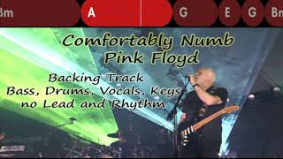 Comfortably Numb  Backing Track  Bass Drums Vocals Keys No Lead and Rhythm [upl. by Kreegar]