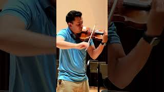 Sibelius Violin Concerto [upl. by Zetta573]