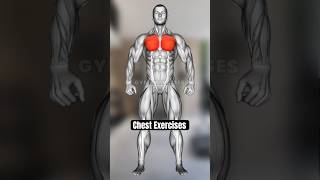 Chest Workout At Home  Beginners Chest Workouts At Home  Chest Exercises At Home No Equipment [upl. by Libre]