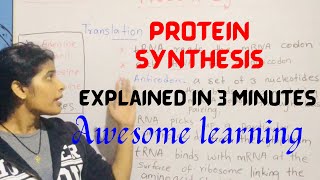 PROTEIN SYNTHESIS explained in 3 MINUTES EDEXCEL BIOLOGY UNIT 1 TOPIC PROTEINSYNTHESIS IAL [upl. by Clinton256]