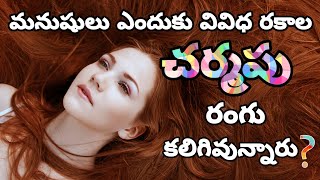 Why we are in different skin coloursin telugu science why skin knowledge [upl. by Alleinnad151]