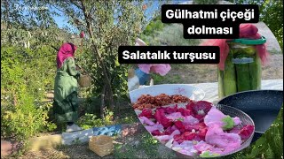 Gülhatmi çiçeği dolması ve salatalık turşusu [upl. by Imre]