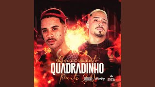 Aquecimento do Quadradinho Pt 2 feat DJ PEDRO SCHMID [upl. by Samuela]