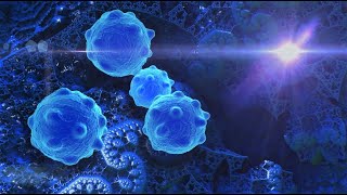 Innate Lymphoid Cells [upl. by Ytsanyd]