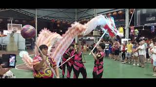 Dragon Dance  Bt 11 cheras [upl. by Einnaj]