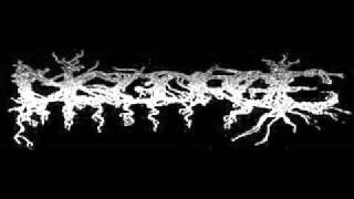 DISGORGE Mex  Disgorging Foetus Regurgitate cover [upl. by Darum]