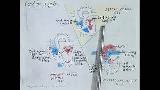 Cardiac Cycle Cardiovascular System Part 7  Dr Shikha Parmar [upl. by Colin]