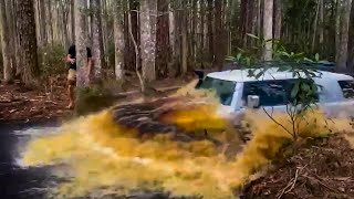 Exploring Osceola National Forest with 2 FJ Cruisers and a Rivian R1T [upl. by Cordi]