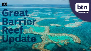 The Great Barrier Reef Avoids “In Danger” Listing From UNESCO  Behind the News [upl. by Abocaj429]