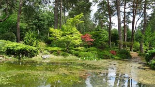 Arboretum des Grandes Bruyères [upl. by Garth]