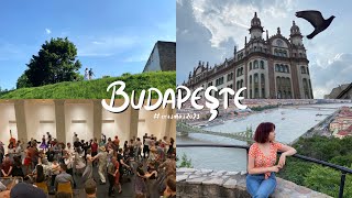 BUDAPEÅTE  Son Demler erasmus [upl. by Ange]