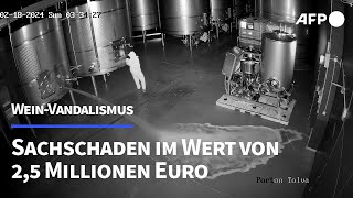 Vandalismus Fast 60000 Liter Spitzenwein vernichtet  AFP [upl. by Vories]