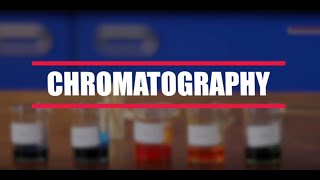 How To Do A Chromatography Experiment BBC Bitesize KS3 Chemistry [upl. by Jezabel]