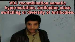 Antibody diversity Antibody class switching Antibody somatic hypermutation or VDJ recombination [upl. by Brott]