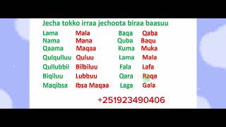 Afaan Oromoo Jecha tokko irraa jechoota biraa baasuu study Afaan OromooAmharic English letters [upl. by Llehsyar206]