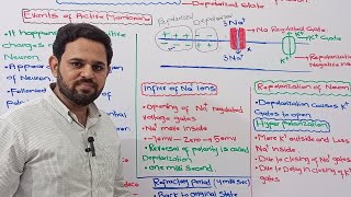 Active Membrane Potential  Nerve Impulse  Class 12  NBF  FBISE [upl. by Odlanier]