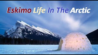 Eskimo Life In The Arctic [upl. by Jahncke]