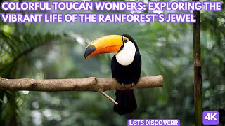 Colorful Toucan Wonders Exploring the Vibrant Life of the Rainforests Jewel [upl. by Byler]