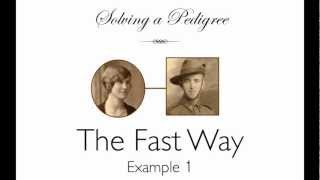 Solving a Pedigree  the Fast Way example 1 [upl. by Sekoorb]