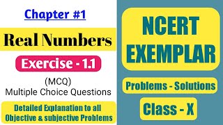 Chapter 1 Real Numbers Exercise 11 solutions  NCERT Exemplar class 10 Maths [upl. by Acirne]