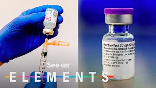 What’s In the Pfizer amp Moderna COVID Vaccines [upl. by Jueta]