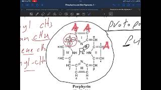 Porphyrins and bile salts [upl. by Akeim133]