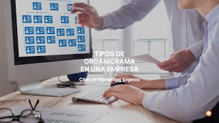 ▶️ ¿Cuáles son los tipos de organigrama en las empresas  Clips de marketing tugesto [upl. by Naitsyrk267]