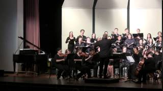 WMGSO Debut 2014  Xenogasa Dammerung Orchestrated [upl. by Mccomb]