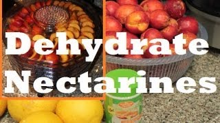 How to make Dehydrated Dried Nectarine Fruit with Waring Pro Food Dehydrator [upl. by Eelyab]