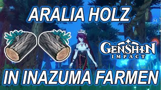 💪Genshin Impact  Guide Aralia Holz in Inazuma farmen Farmroute 60x Aralia Holz in unter 2 Min💪 [upl. by Pantin]