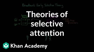 Theories of selective attention  Processing the Environment  MCAT  Khan Academy [upl. by Zippel704]