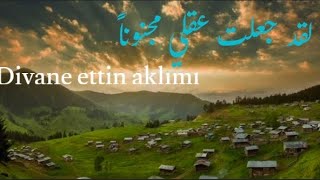 اغـــنية تـــركيــة  لقد جعلت عقلي مجنونا  divane ettin Aklımı 🥀💚 [upl. by Valerye]