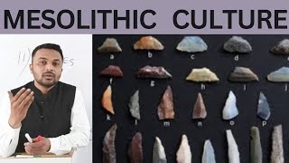 Mesolithic Culture of India  UPSC Anthropology  Sabeel Sir  Class 03 [upl. by Henri]