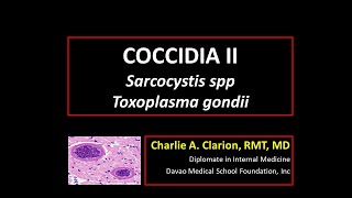 Sarcocystis hominis Sarcocystis suihominis Toxoplasma gondii [upl. by Notnirb]