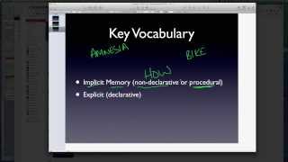 AP Psychology  Memory  Part 3  LongTerm Potentiation LTP [upl. by Uttica210]