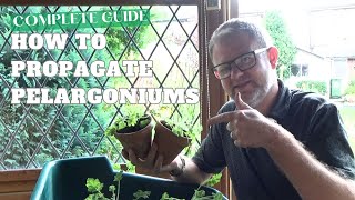 Complete Guide on Taking Pelargonium Cuttings  How to Propagate Pelargonium  Gardening Tips [upl. by Tenahs]