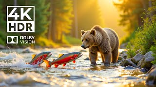 Baby Animals 4K HD  Live Moments of Peaceful Wild Animals With Beautiful Music Dynamic Colors [upl. by Uon]