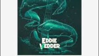 Eddie Vedder Society Cover [upl. by Nnaoj426]