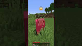 Why Every Mob Burns my House shorts meme minecraft [upl. by Glad382]