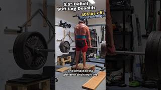 MASSIVE DEFICIT Stiff Leg Deadlift 405lbs x 5  170 [upl. by Monia]