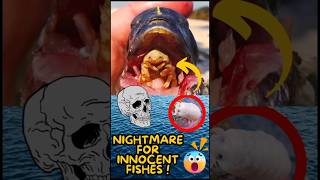 Cymothoa exigua 🤯🤫parasite facts shorts [upl. by Yazbak475]