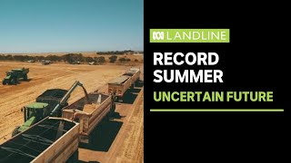 Agricultures skyhigh livestock prices record harvest but uncertain future  Landline  ABC News [upl. by Helbonnah]