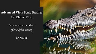 American crocodile D Major  Advanced Viola Scale Studies by Elaine Fine [upl. by Salokkin]