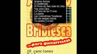 Tablaturas para Guitarra de Antonio Bribiesca y otros guitarristas [upl. by Eunice]