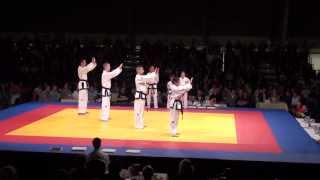 Rings Budo Gala 2013 Demo Team In Nae Do Kwan [upl. by Perot]