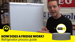 How Does a Fridge Work How is a Fridge Cooled amp More [upl. by Nett]