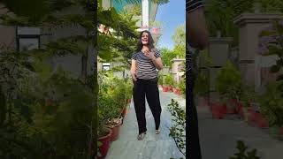 baghban 🌳🌲 bollywood song music hindi punjabi youtube youtubeshorts [upl. by Hafler]