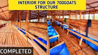 Zero grazing unit for 700goats interior  Day 15  2023 [upl. by Trixi63]